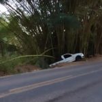 Van da prefeitura colide com cavalo e animal morre na zona rural de Caparaó.