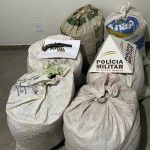 Motorista perde controle cai em bambuzal na rodovia MG 108