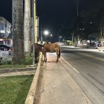 Criança atropelada em Mutum morreu durante transferência para BH