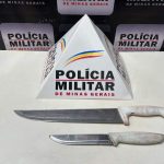 Nascimento de dois filhotes de muriqui é registrado em Simonésia
