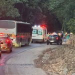 Acidente com carreta carregada de mangas interdita BR-116.