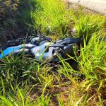 Van da prefeitura colide com cavalo e animal morre na zona rural de Caparaó.