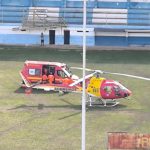 Animais na pista causa acidente  na rodovia em Lajinha