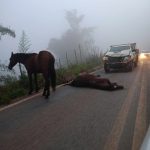 Criança atropelada em Mutum morreu durante transferência para BH