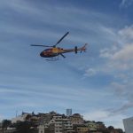 Uma operação para recolher animais soltos nas áreas urbanas e na BR-262 em Manhuaçu será realizada.