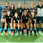 Aeromodelismo encantam o público no evento campo de aviação em Lajinha