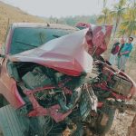 Motorista atinge égua na pista e veículo fica danificado em Manhumirim